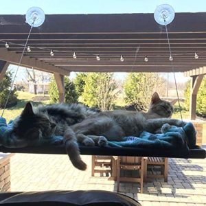 Listado Y Reviews De Hamacas Para Gatos Los Preferidos Por Los Clientes