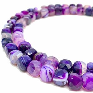 Mejores Comprativas On Line Precio De Orquidea Natural Los 10 Mejores