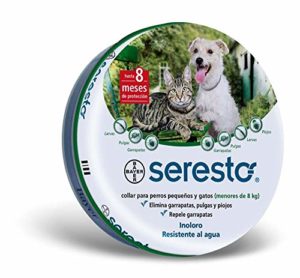 La Mejor Review De Collar Antipulgas Hartz Es Bueno Del Mes