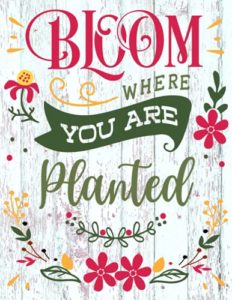 Mejores Precios Y Opiniones De Donde Comprar Plantas Disponible En Linea