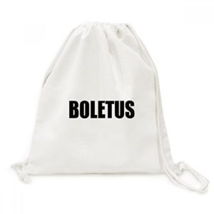 Recopilacion Y Reviews De Boletus Los Diez Mejores