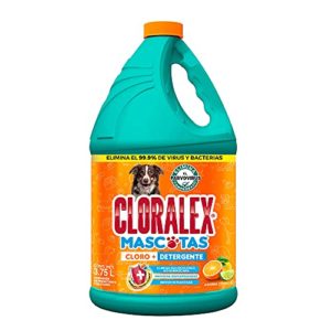 La Mejor Comparacion De Productos Exialoe Disponible En Linea