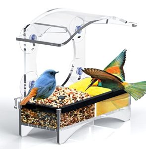 Mejores Review On Line Venta De Loza Por Mayor 8211 Cinco Favoritos