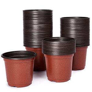 La Mejor Comparacion De Macetas Economicas Disponible En Linea Para Comprar