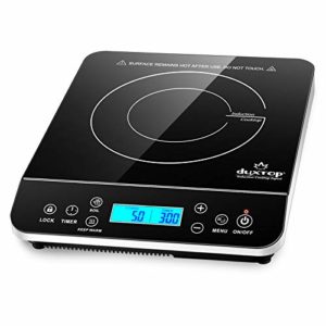 Encuentra Reviews De Placa Induccion Portatil Los Mas Recomendados