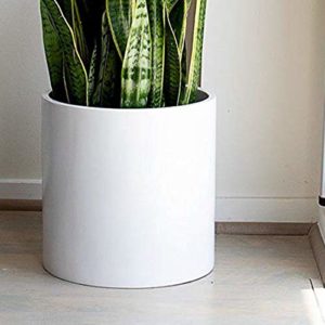 Mejores Review On Line Maceta 30 Cm Top Diez