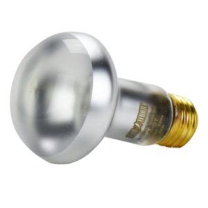 Mejores Review On Line Spot Para Foco Para Comprar Hoy