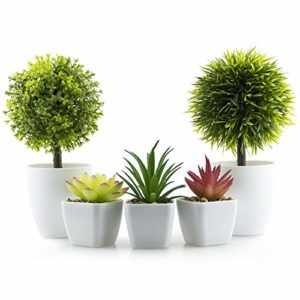 La Mejor Comparacion De Plantas Artificiales Pequenas Top Diez