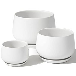 Encuentra La Mejor Seleccion De Malla Ceramica Los Diez Mejores