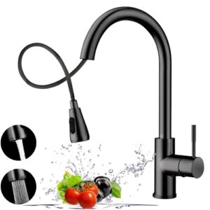Recopilacion Y Reviews De Griferia Para Fregadero Retractil Del Mes