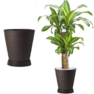 La Mejor Seleccion De Platos Decorativos Grandes De Esta Semana