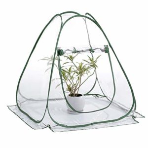 Reviews Y Listado De Tienda De Macetas Comprados En Linea