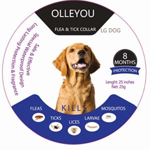 El Mejor Review De Mejores Desparasitantes Los 7 Mas Buscados