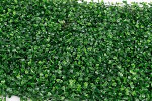 Encuentra La Mejor Seleccion De Pasta Para Muros Top Cinco