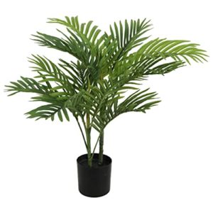 Listado Y Reviews De Plantas Artificiales Amazon Disponible En Linea Para Comprar