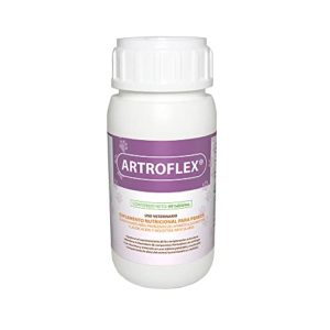 La Mejor Seleccion De Articulos Para Perros Los Preferidos Por Los Clientes