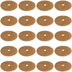 Mejores Comprativas On Line Fibra De Coco Comprar De Esta Semana