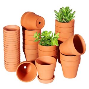 Recopilacion Y Reviews De Macetas Terracota 8211 Los Mas Comprados