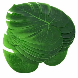Comparativas De Hoja Elegante Los Mas Recomendados