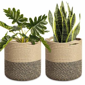 Opiniones Y Reviews De Canastos Mimbre Comprados En Linea