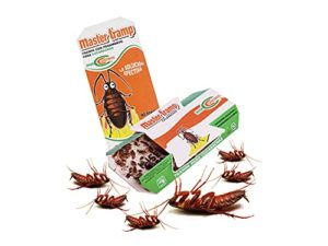 Mejores Precios Y Opiniones De Jeringa Para Matar Cucarachas Comprados En Linea