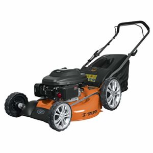 Reviews Y Listado De Podadoras De Pasto Baratas Disponible En Linea Para Comprar