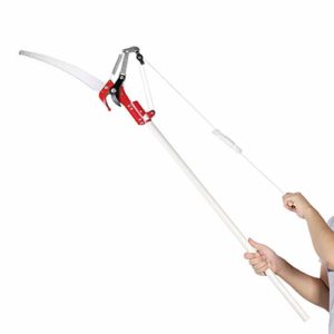 Consejos Y Comparativas Para Comprar Tijeras Pertiga Mas Recomendados