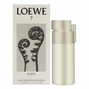 Recopilacion Y Reviews De Loewe 7 Plata Top Cinco